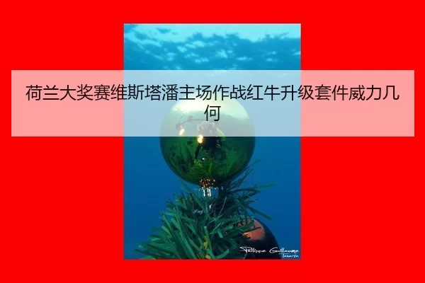 he-lan-da-jiang-sai-wei-si-ta-pan-zhu-chang-zuo-zhan-hong-niu-sheng-ji-tao-jian-wei-li-ji-he-3-291.jpg