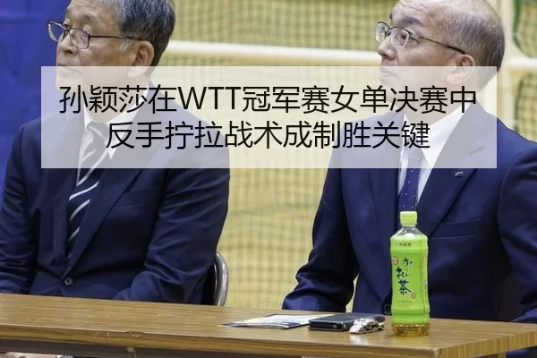 孙颖莎在WTT冠军赛女单决赛中反手拧拉战术成制胜关键